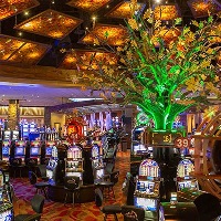 Casino miami jai-alai ebifaananyi, nugget casino reno koodi ya promo, maapu ya kazino z’enku enfu